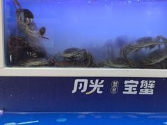 -蟹状元大闸蟹·年货·粽子(成都成华店)