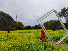 -雀儿山公园