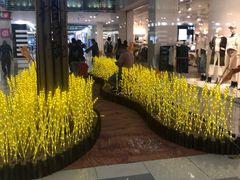 -鹏欣水游城