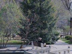 -碑林公园