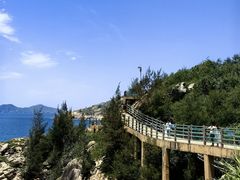 -广东惠东海龟国家级自然保护区