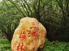 -广东温泉宾馆