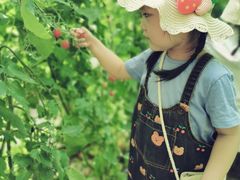 -万源龙顺度假庄园生态观光园