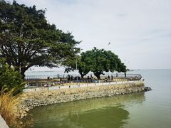 -大湾区中央湿地公园-十九涌