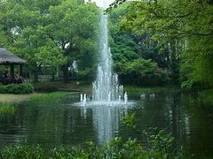 -共青国家森林公园-南大门停车场