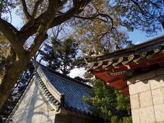 -青岛崂山太清宫