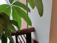 -皇城老妈·大连海鲜火锅(港湾店)