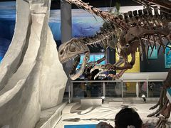 -国家自然博物馆