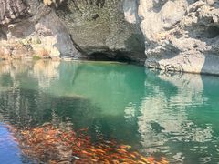 -楠溪江风景名胜区