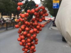 -汇德隆银隆