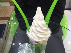 -Salud撒露欧洲冻酸奶(蓝色港湾店)