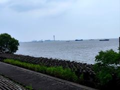 -上海滨江森林公园