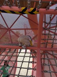 -季高兔窝窝亲子园(上海薰衣草公园店)