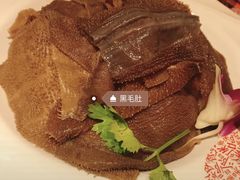 -阿香婆欢乐火锅(淄博万象汇店)