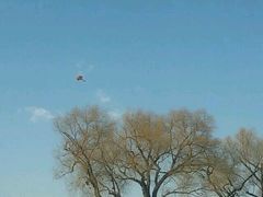 -人民防洪胜利纪念塔