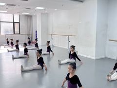 -西安小天鹅艺术团(金花路校区)