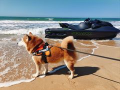 -那香海钻石沙滩浴场