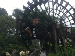 -云南民族村