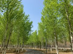 -东郊湿地公园