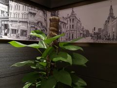 -上海小南国(正大店)