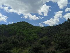 -北京西山国家森林公园