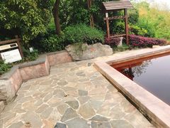 -天目湖涵田半山温泉