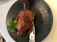 乳鸽-悦景酒家(罗湖店)