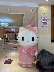 -北京俪婴妇产医院(朝阳大悦城店)