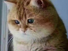 -博纳UA影城(KK Mall IMAX店)