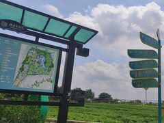 -中华茉莉园