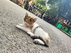 -两江国际影视城