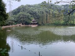 -忠山公园