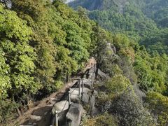 -铁山坪森林公园