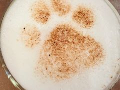 -猫小院猫主题餐厅(南锣旗舰店)