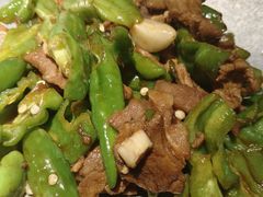 -前海沿·青岛菜(大拇指广场石老人店)