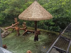 -深圳野生动物园
