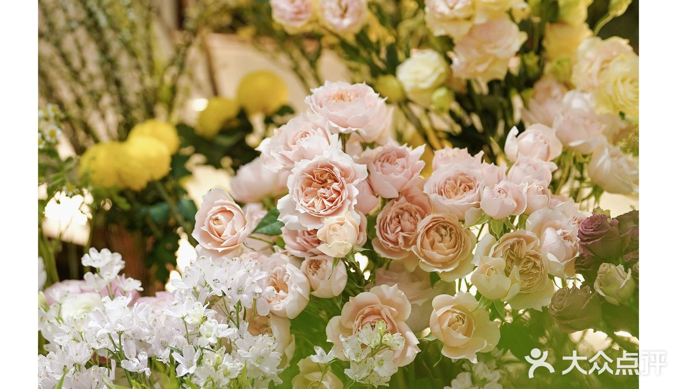 春天开在了花里花俏的地方💐