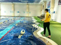 -重庆大学游泳馆