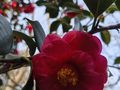 -蜀冈西峰生态公园