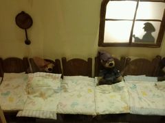 -济州岛泰迪熊博物馆