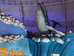 -烟台海昌鲸鲨海洋公园