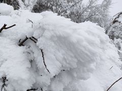 -终南山国家森林公园