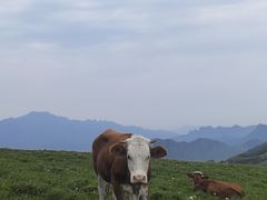 -灵山