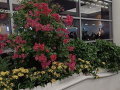 -厦门高崎国际机场-T3航站楼