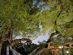 -小洲村