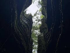 -梭布垭石林景区