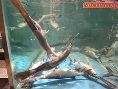 -漓江又一軒·广西菜·桂林米粉(梅林店)