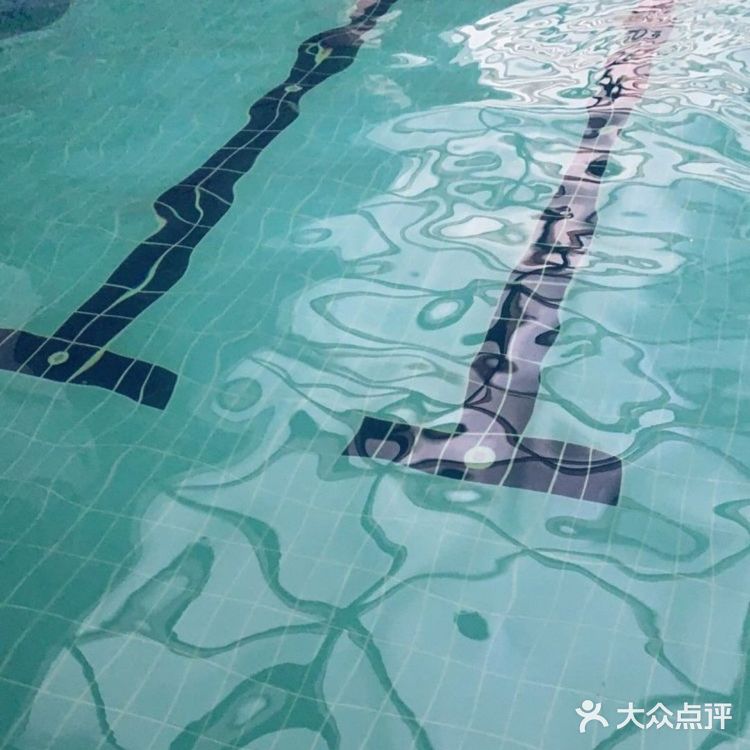 游泳攻略｜或许你要来沧海游泳培训吗[亲亲]