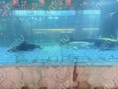 -年辉渔村·非遗传承餐厅(新丰江店)