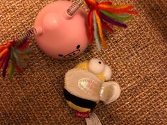 -PETKIT 小佩宠物·低压洗护·美容·寄养(安远店)